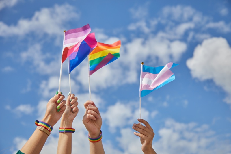 blue sky background with hands holding various pride flags that are blowing in the breeze